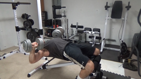 Seated chest online press dumbbell