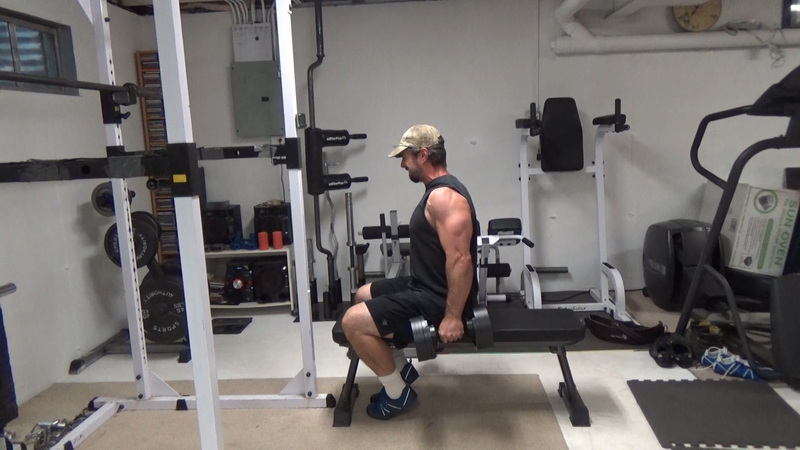 Seated Bench Clamp Strict Dumbbell Curls