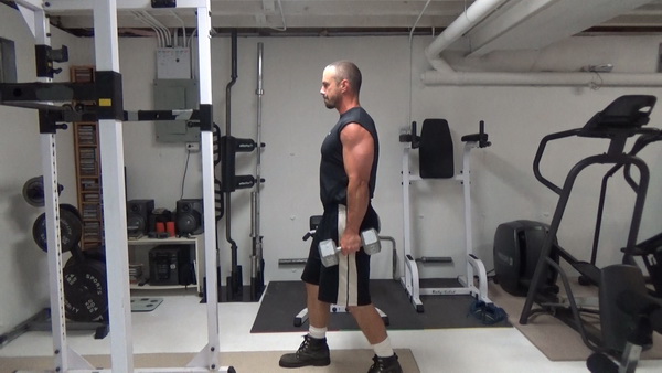 alternating dumbbell curl