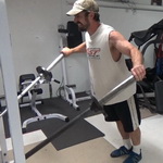 Two-Bar Landmine Lateral Raises