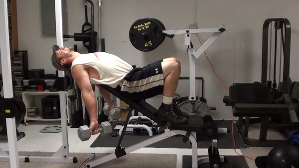 Does bench press workout biceps best sale