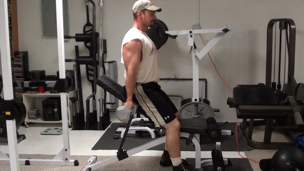 Alternating Dumbbell Curls