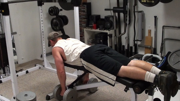 Chest Supported Dumbbell Rows