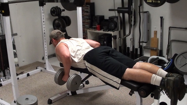 Chest Supported Dumbbell Rows