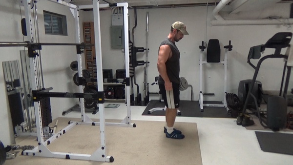 Reverse Dumbbell Lunges