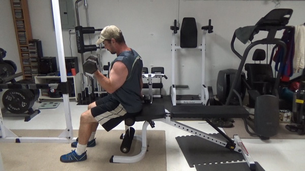 Alternating Dumbbell Curls