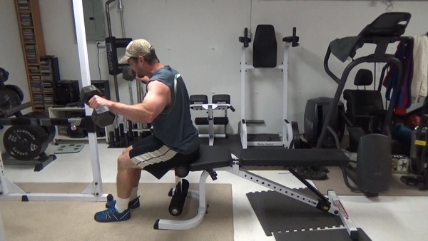 Dumbbell Lateral Raises